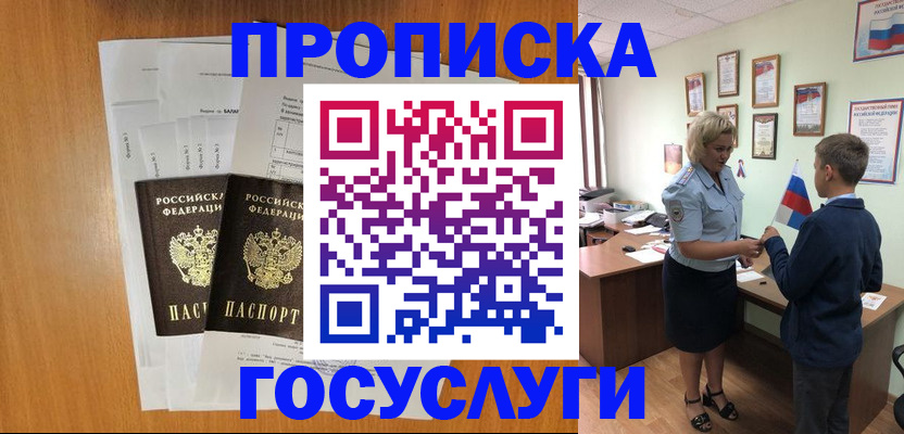 временная регистрация госуслуги в Палласовке